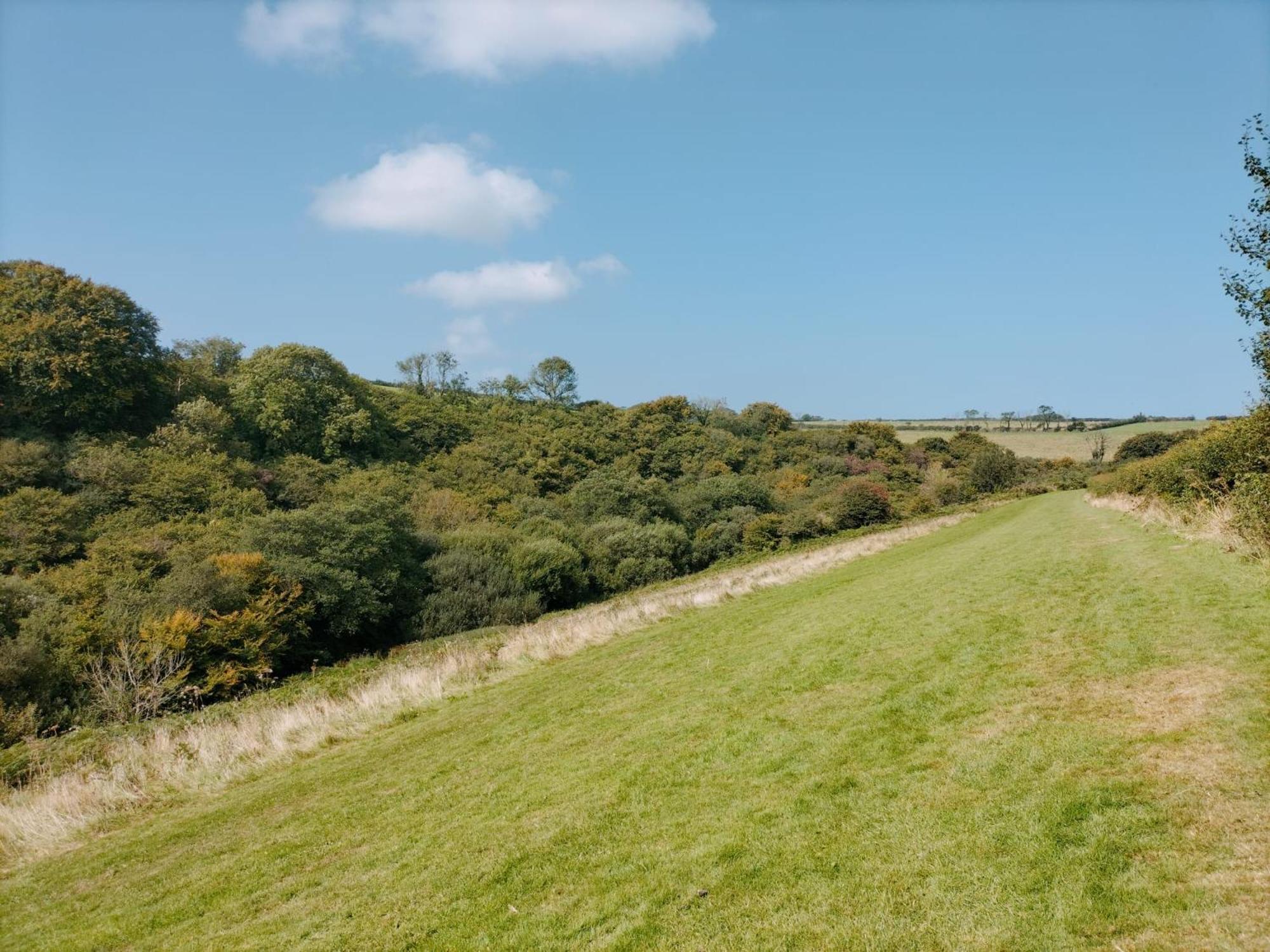22 Stowford Gardens Combe Martin Lägenhet Exteriör bild
